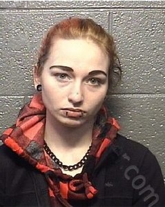 Busted Newspaper Danville PD VA Mugshots - Busted Newspaper VA