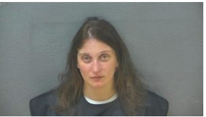 2024 Busted Newspaper Lynchburg County VA Mugshots - Busted Newspaper VA